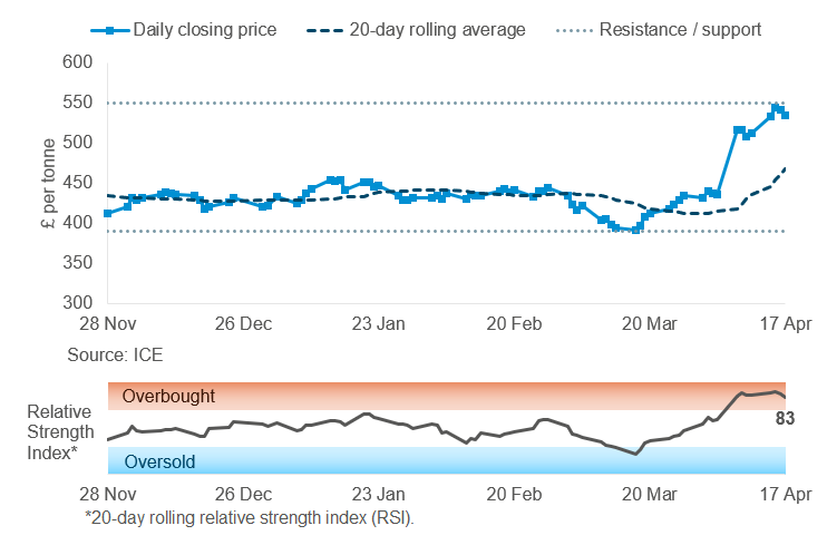 Rapeseed price analysis graph